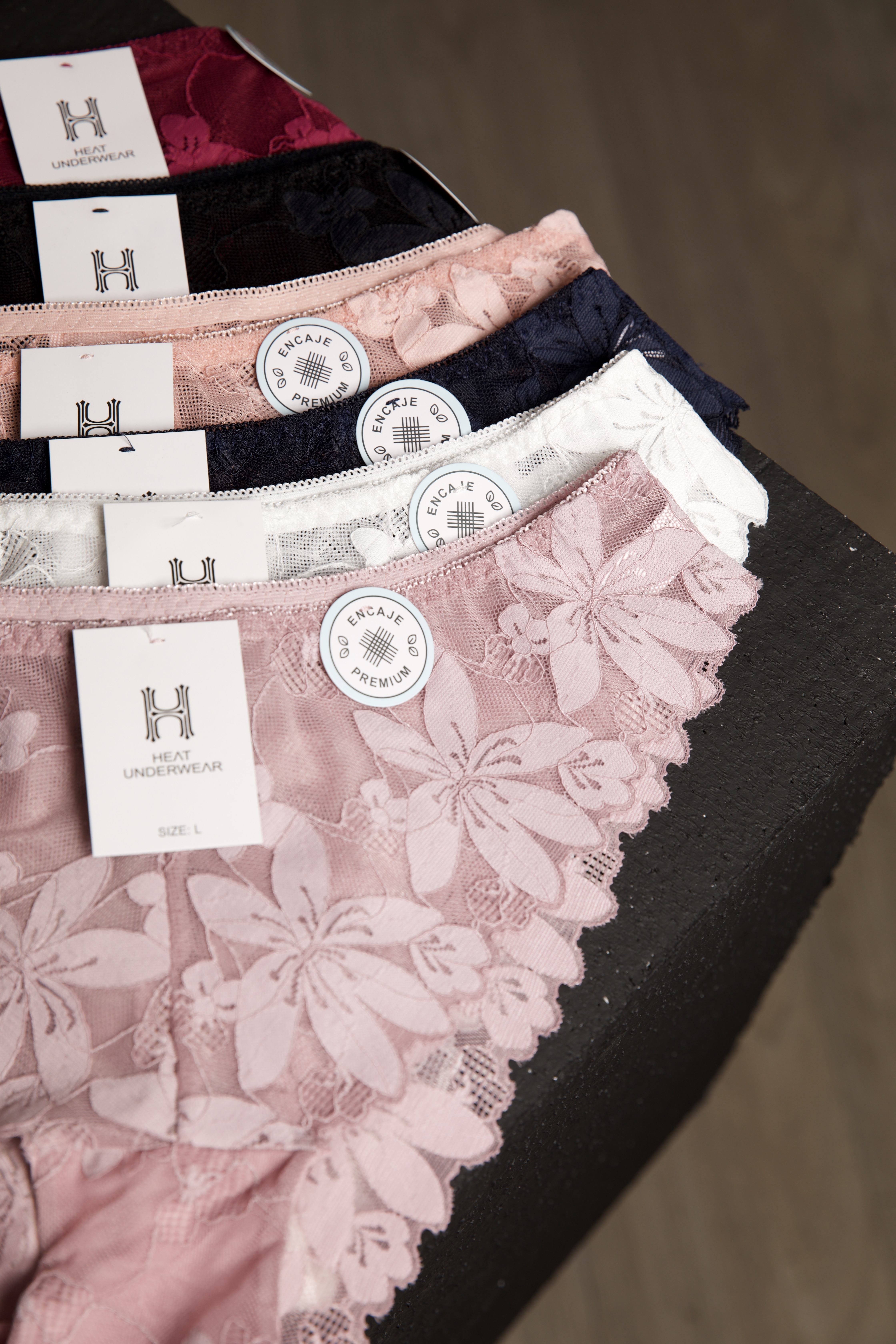 Culotte en Dentelle Florale Transparente & Finitions Échancrées 2